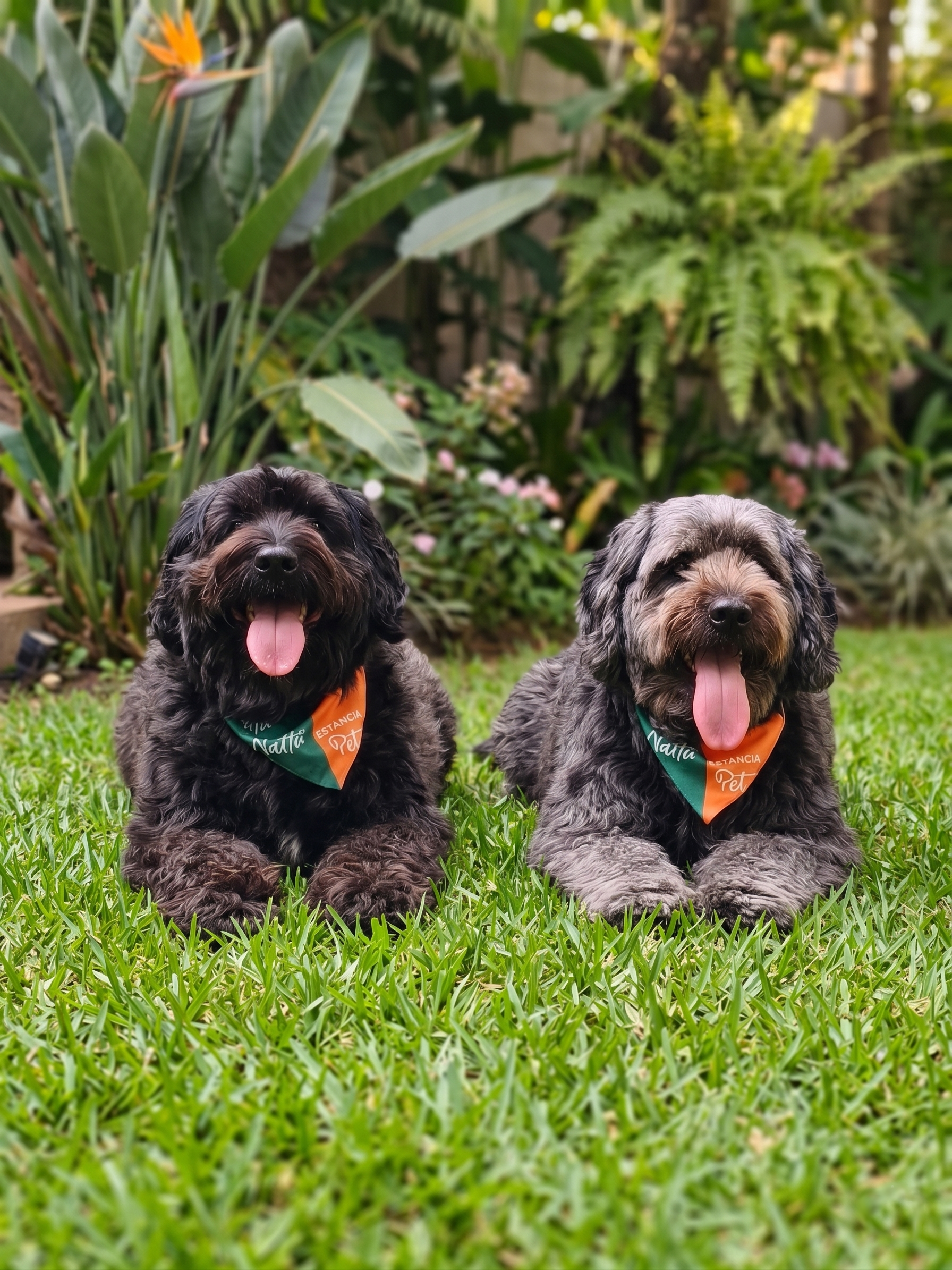 Godofredo e Frederico